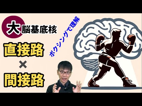 運動皮質は意思決定に影響を与えるのでしょうか?