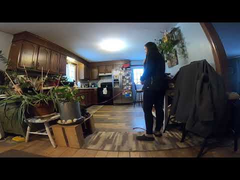 S16W1 Slick Red Light Green Light V2