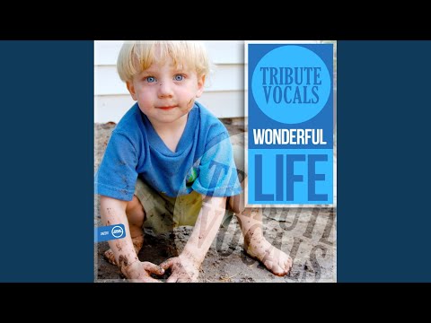 Wonderful Life (Original Mix)