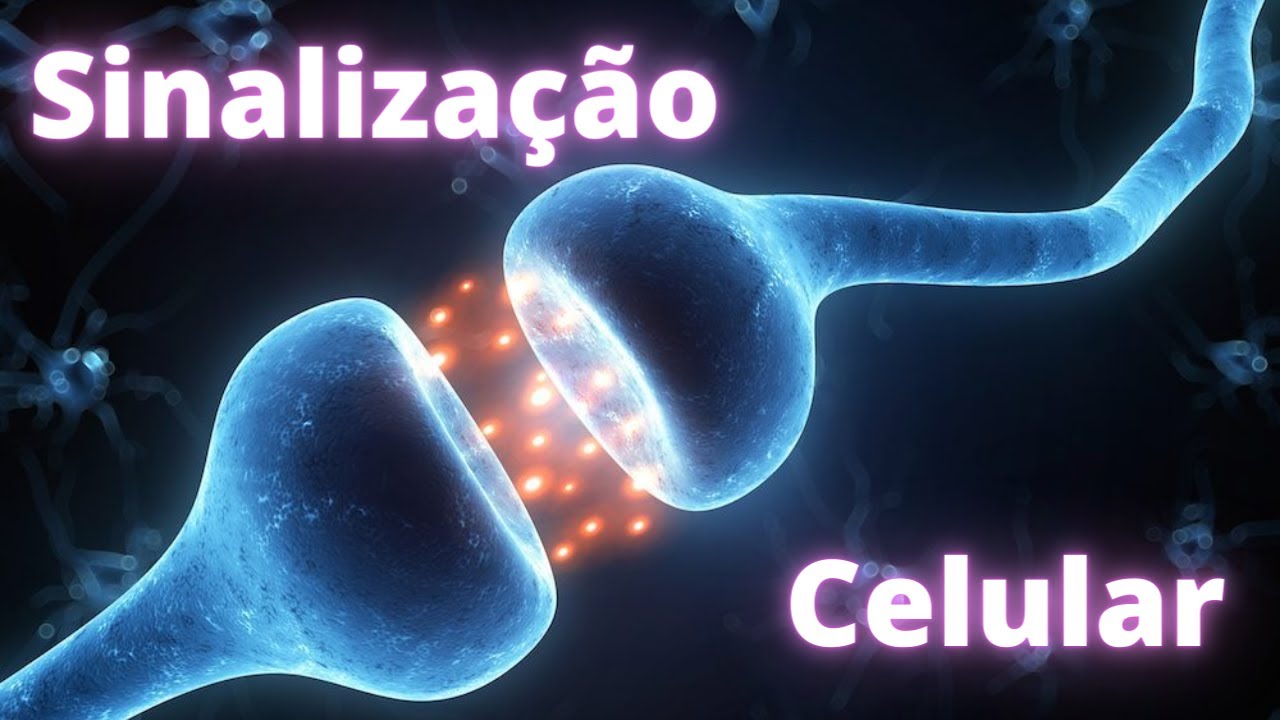 Sinalização celular – Fisiologia Humana
