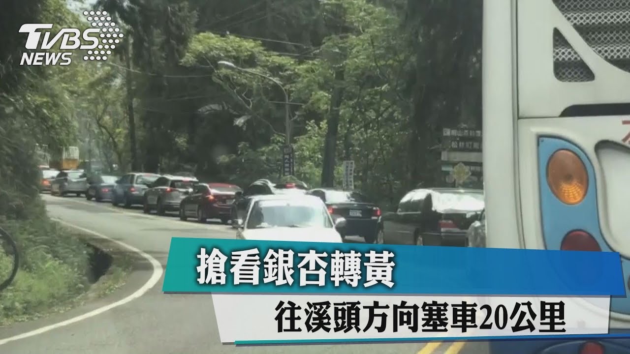 搶看銀杏轉黃 往溪頭方向塞車20公里