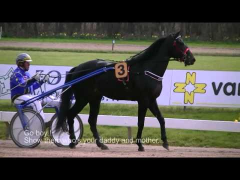 Draf- en Renbaan Duindigt, Uncut. Sunday 08-04-2012 Part 1