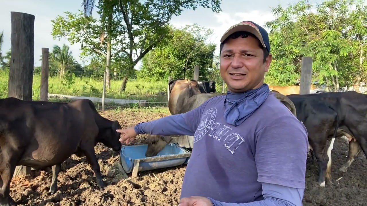 Por que uma vaca só deu 1 litro de leite?🤔