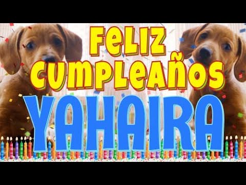 ¡Feliz Cumpleaños Yahaira! (Perros hablando gracioso) ¡Muchas Felicidades Yahaira!