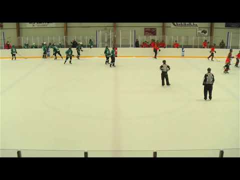 U14 380 White Sharks HC - Szekszárdi Jégmadarak 20210109