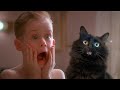 Home Alone With My Cat OwlKitty Parody