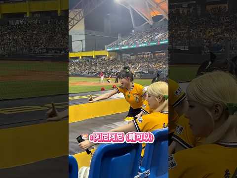荷律很擔心gary手🤣#cheerleader #fancam #中信兄弟   #邊荷律   #中華職棒   #변하율 #吐司邊#推薦 #shorts