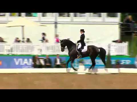 Pferd International 2015