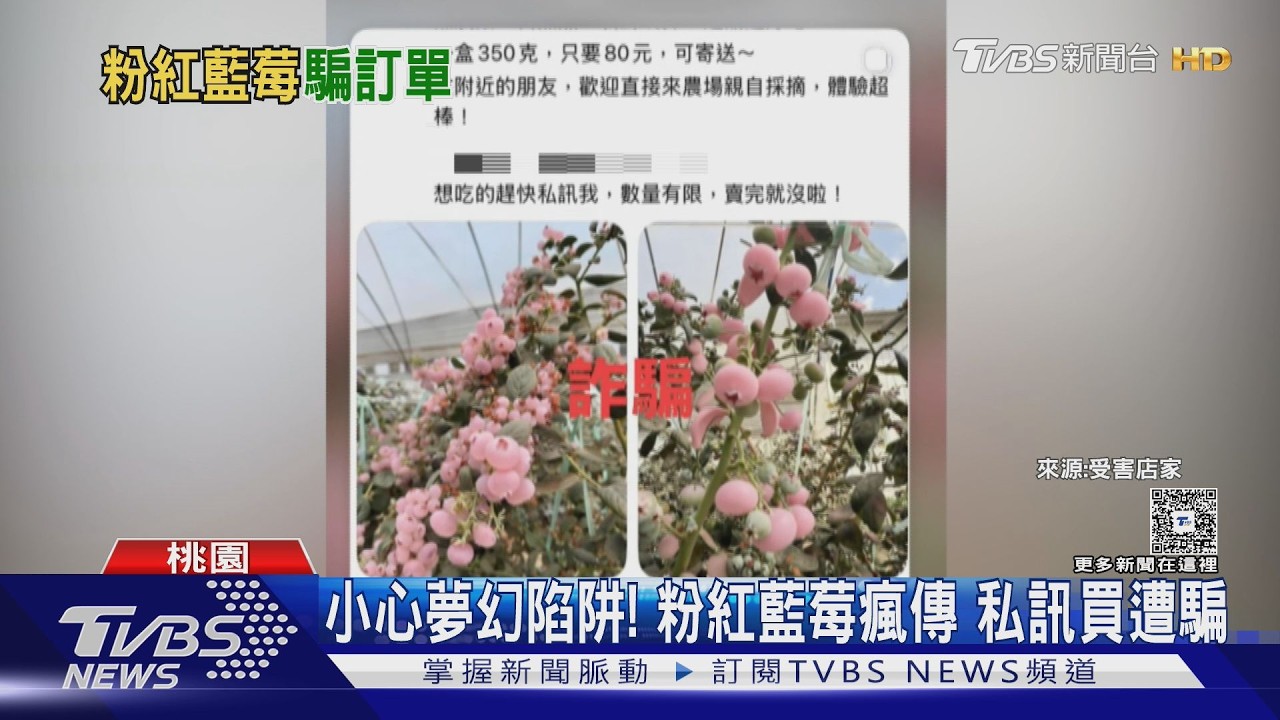 影音/「粉紅藍莓」低價誘購是陷阱!假地址騙個資 網友怒揭:差點上當