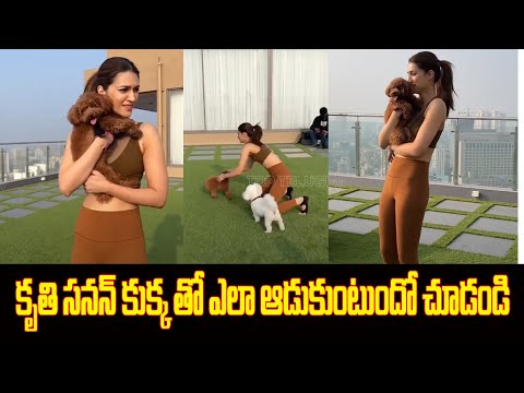 Kriti Sanon Playing and having fun with her Pet Dog ||  Adipurush Heroine KritiSanon ||Top Telugu TV