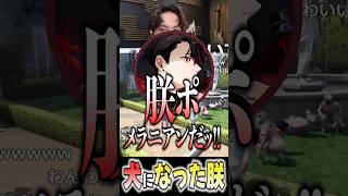 勢いのあるrprの一言に爆笑するけんき【カグラナナ/甘狼このみ/rpr/メーメントヴァニタス/けんき/切り抜き】#けんき  #切り抜き #ゲーム実況#メーメントヴァニタス