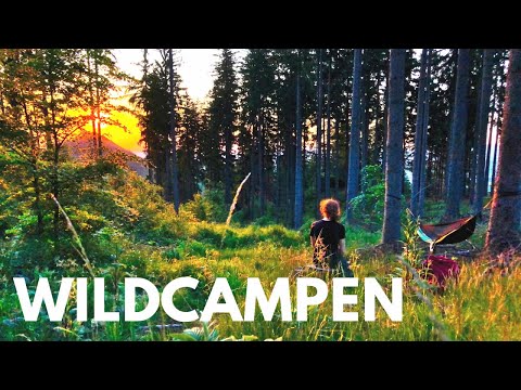 WILDCAMPEN in Polen - mit der HÄNGEMATTE im Wald 🌲