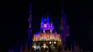 Night firework in Disneyland #tokyo #japan #travel #disneyland #nepal #australiadiaries #family