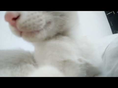 November 22, 2022(2)