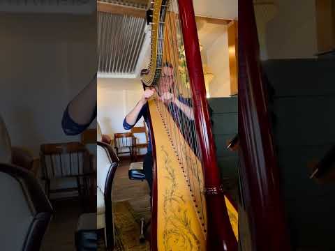 Promotional video thumbnail 1 for Braya the Harpist