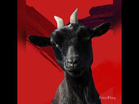 Meechie 2x - long days ( trials & tribulations remix )