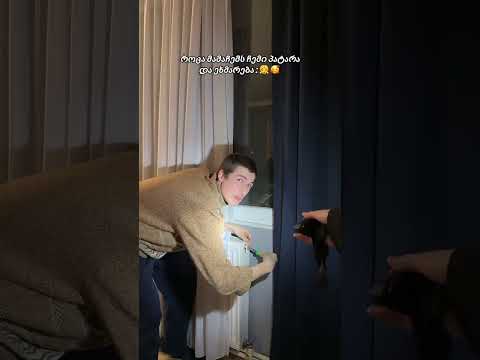 მამა😂😂😂 #doublagefrancais #funny #humor #humoristefrancais #comediedramatique #comedy #