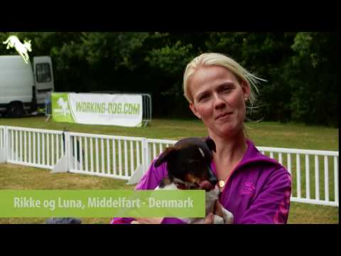 European Open Agility 2016 - Rikke and Luna, Denmark