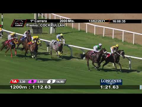 210213 c01 EL CURATO