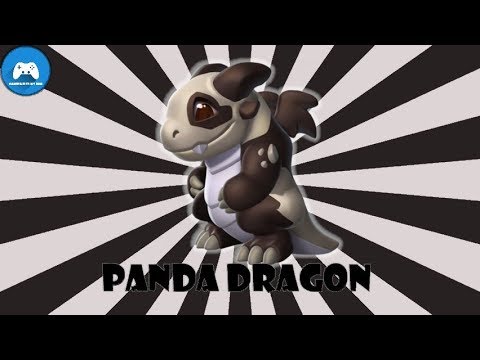 How to breed Panda Dragon | Dragon mania legends |