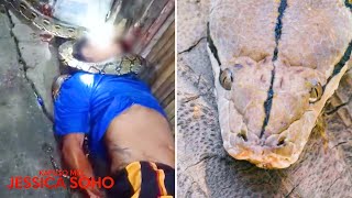 Download lagu Dating dispatcher, pinuluputan sa leeg ng isang dambuhalang sawa! | Kapuso Mo, Jessica Soho mp3