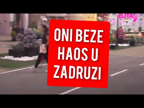ONI BEZE, NEVIĐENI HAOS U ZADRUZI - OVO NIKO NIJE OCEKIVAO