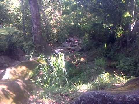 La quebradona. San miguel el choco