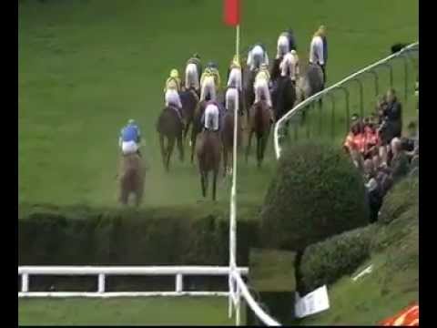 2015.09.01 Grand Steeple-Chase des Flandres - Taupin Rochelais