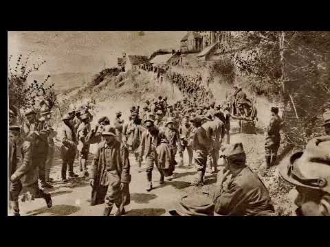 The Battle of La Malmaison_ A Decisive Offensive in the Shadow of Verdun