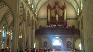 Praise, My Soul, the King of Heaven (Lauda Anima)