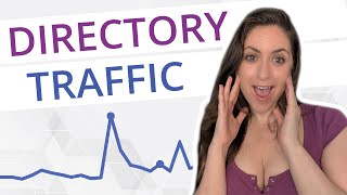 Directory Website Traffic Report: What's This Crazy Traffic Spike??!!?