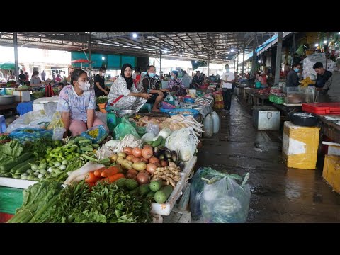 Morning Daily Life Of Vendors @Phsa Leu Krong Kampong Som - Morning Food Market at Leu Market