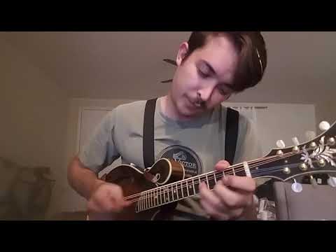 Red Apple Rag // Mandolin // Tristan Scroggins