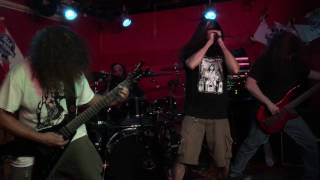 Daigoro - Dawn of the Dumbfuck