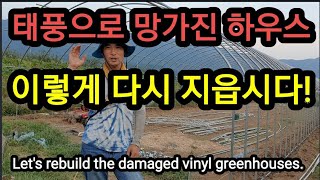1천만원 비닐하우스 태풍대비 이렇게 다시 지었습니다. Let's rebuild the damaged viny…
