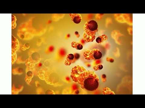 POWERFUL RUQYAH FOR CANCER, EXPLODES CANCER CELLS, BOOST IMMUNE SYSTEM