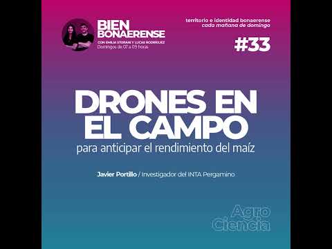 Anticipando el rendimiento del maíz con drones e IA | Javier Portillo - INTA Pergamino