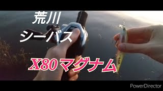 荒川　シーバス調査　2024.11.3 　X80マグナム