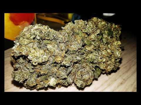 ZV Santa Rosa- S.K.U.N.K (Prod.Vitalbeatz)