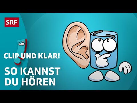 Das Ohr: Wie funktioniert unser Gehör? | SRF Kids – Clip und klar! | Für Kinder erklärt