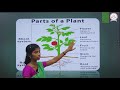 Parts Of Plants