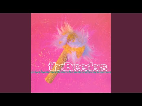 Do You Love Me Now Jr - The Breeders