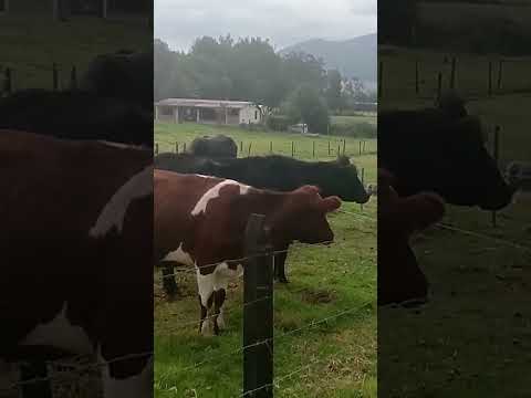 Cogua- Cundinamarca#travel #tirismo#iamigos