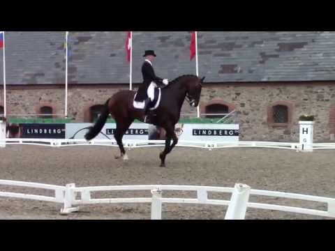 Blue Hors Zatchmo / Allan Grøn