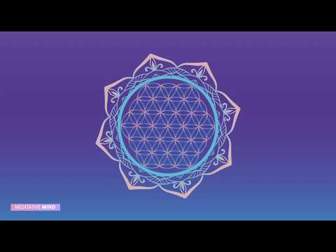 741 Hz ❯ REMOVES TOXINS ❯ Full Body Cell Level Detox ❯ Healing Music || Solfeggio Frequency Music