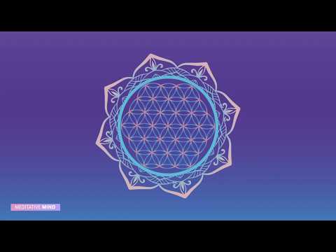 741 Hz ❯ REMOVES TOXINS ❯ Full Body Cell Level Detox ❯ Healing Music || Solfeggio Frequency Music