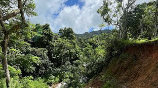Wainadoi Zipline - Princess Cruises Shore Excursions - Suva, Fiji