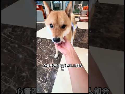 #科普 #青年創作者成長計劃 #漲知識