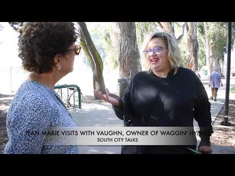 South City Talks, Jean Marie Visits With Vaughn, Owner of Waggin' Hynies!