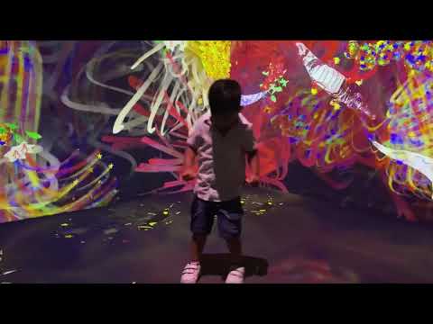 Kanav having fun in teamLab entertainment kids art technology nature